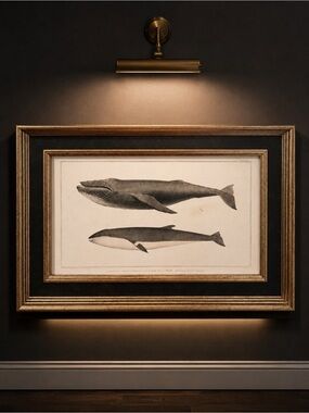 Framedy18x12 frames  Whale Print in Black and Gold Frame with leather